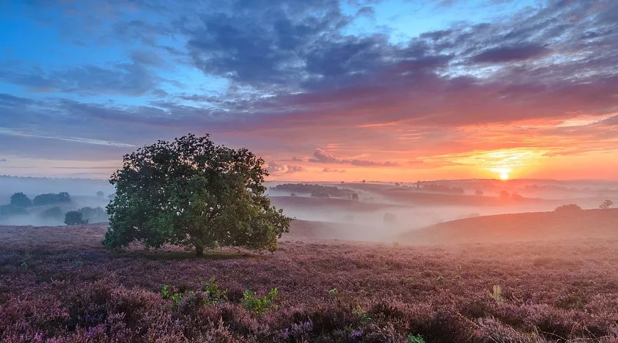 Nationaal Park Veluwezoom